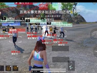 和平精英有辅助吗（和平精英有找人辅助吗）